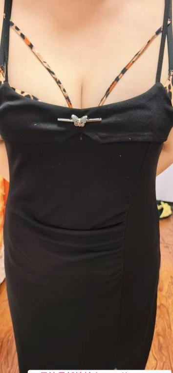 铁西骚少妇   
